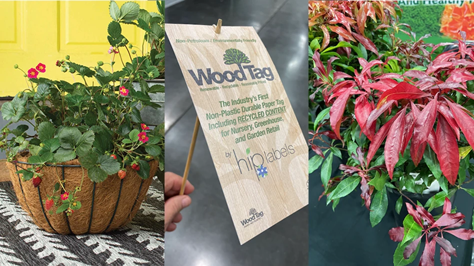 Plants and sign