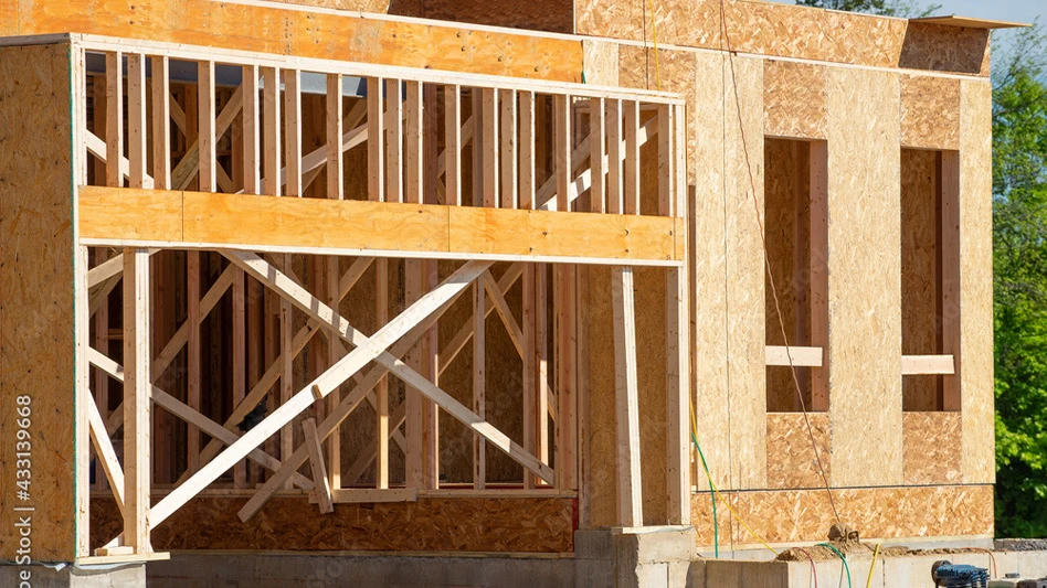 Wood-Destroying Pests Can be Picky