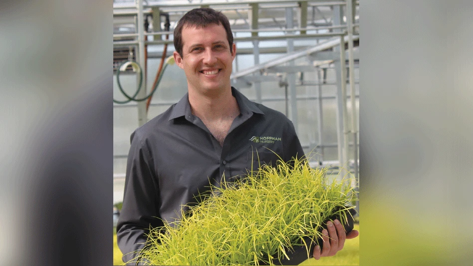 Photo courtesy of Hoffman Nursery