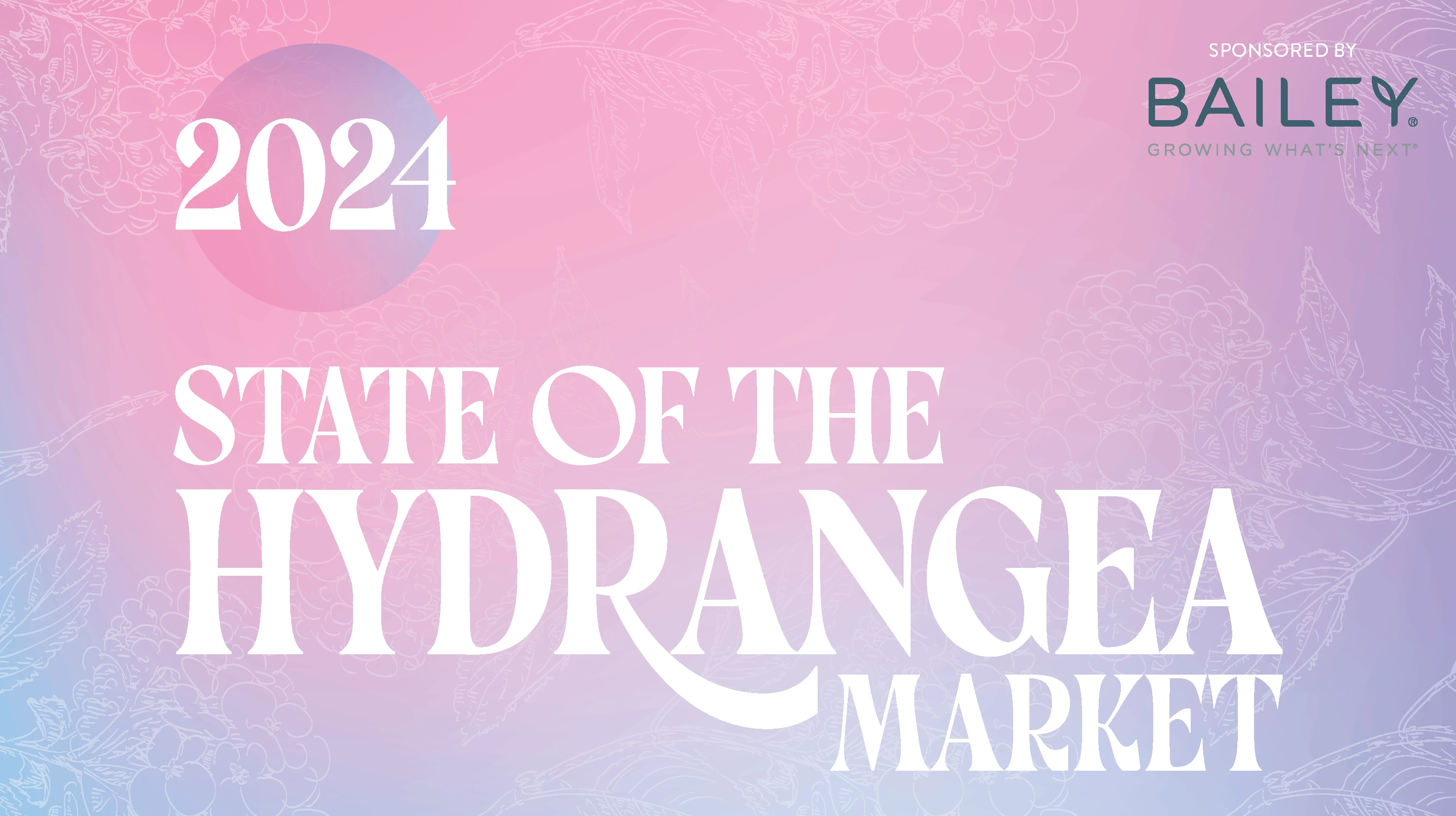hydrangea-market