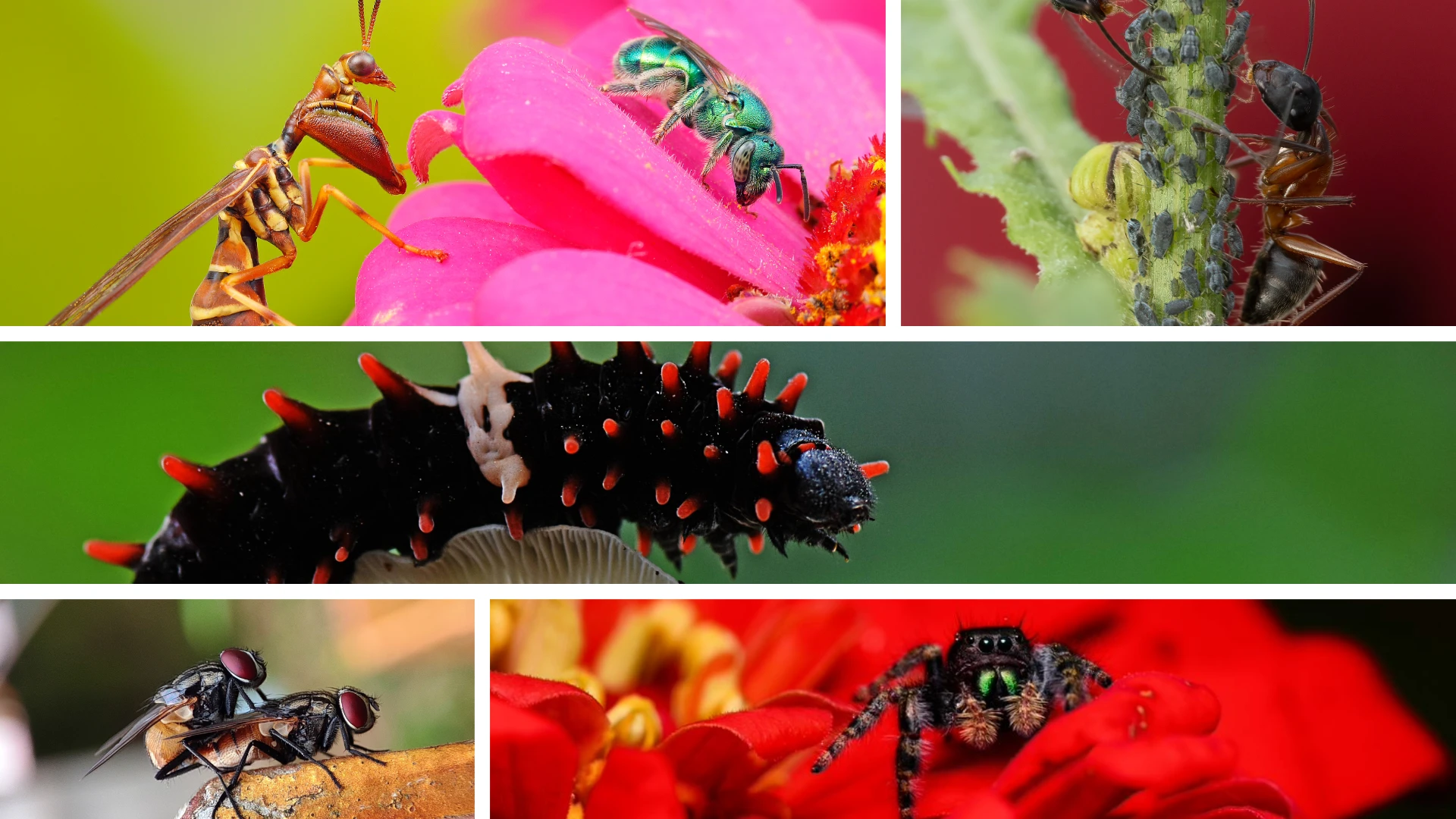 2023 photo contest image