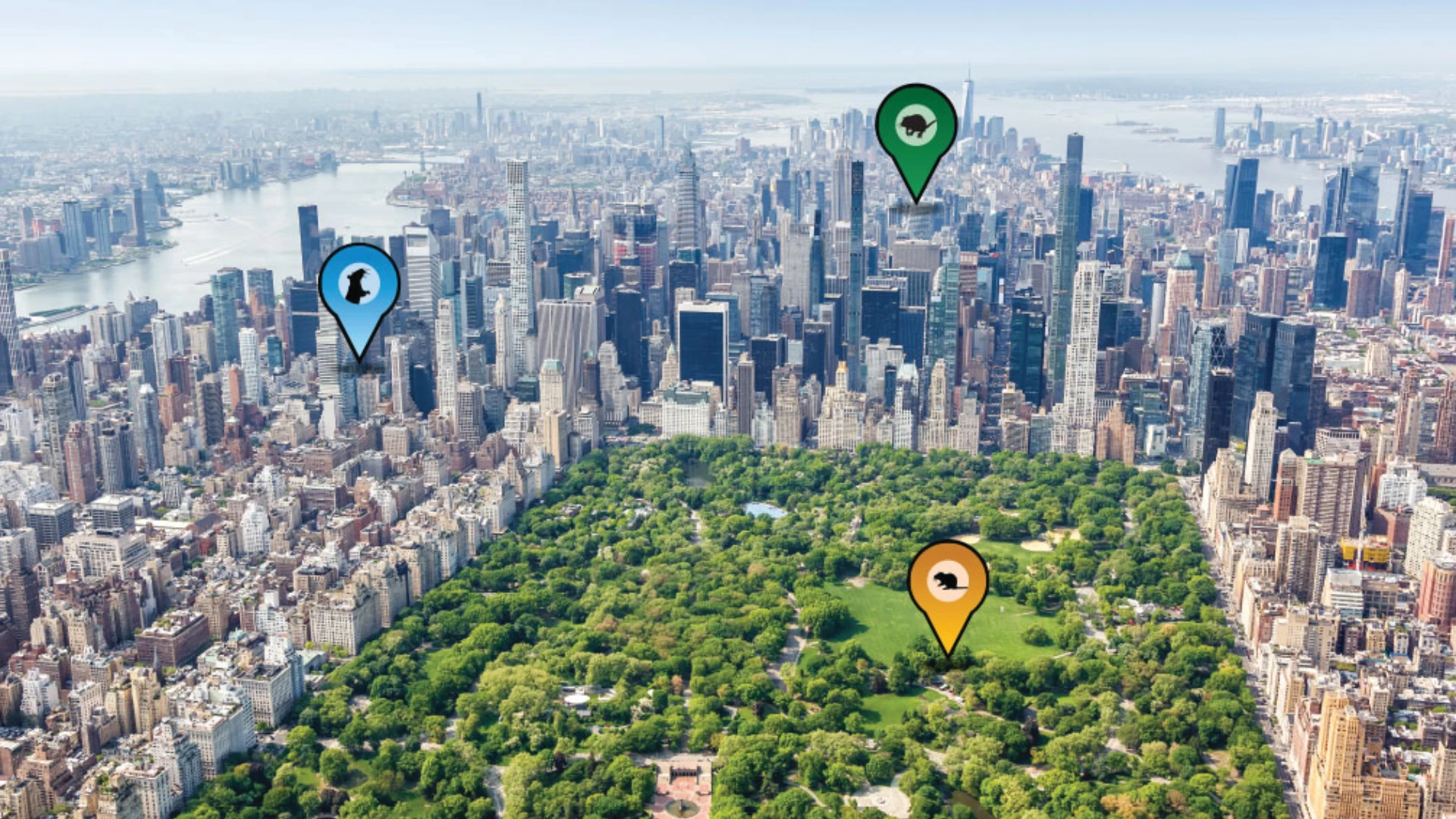 Are NYC’s Rat Problems Solvable?