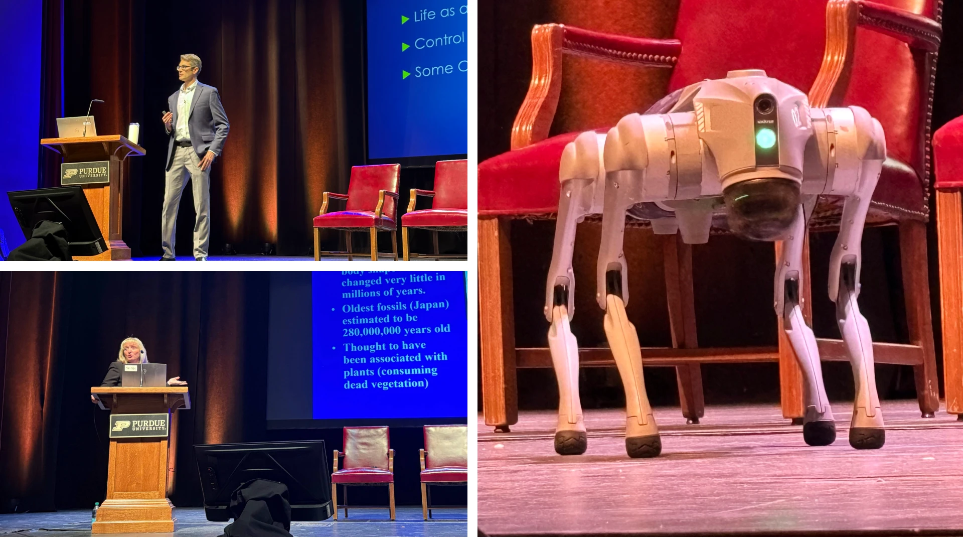Spider Expertise, Cockroach Species, AI Tools for Disease Transmission Hot Topics at Purdue Conference