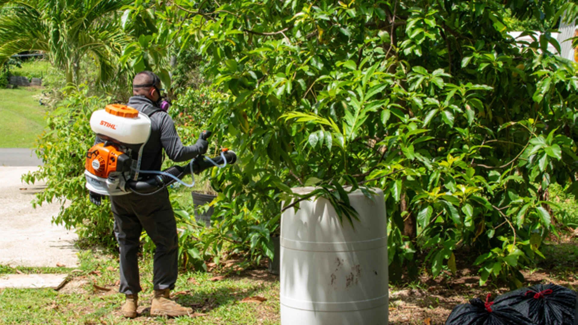Continuing the Dengue Fight in Puerto Rico
