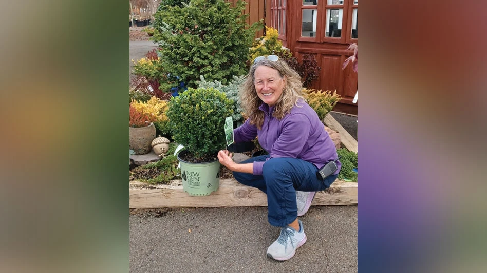 A women knelling beside a NewGen Boxwood. She's wearing a purple shirt with jeans.