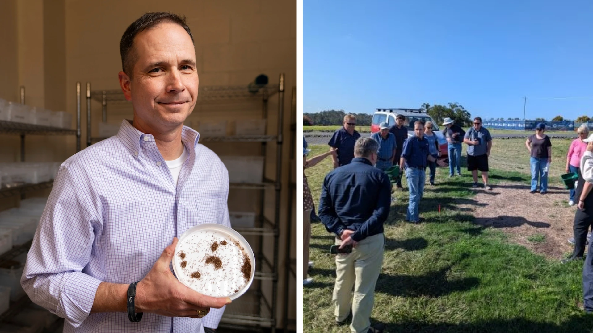 AgriLife Entomologist Travels Globe to Help Tackle Fire Ant Problem