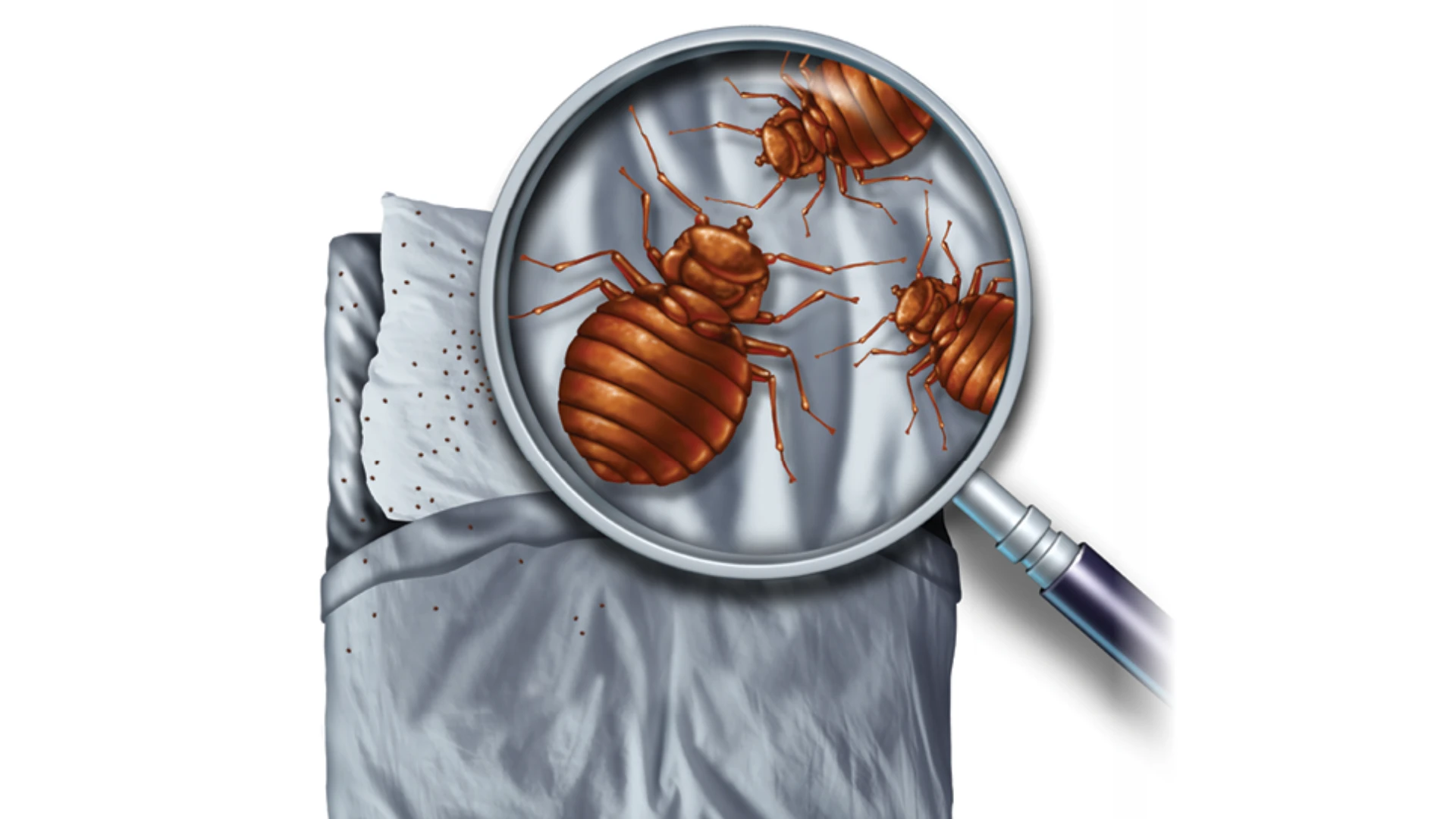 Honing in on Insecticide Treatment Sites