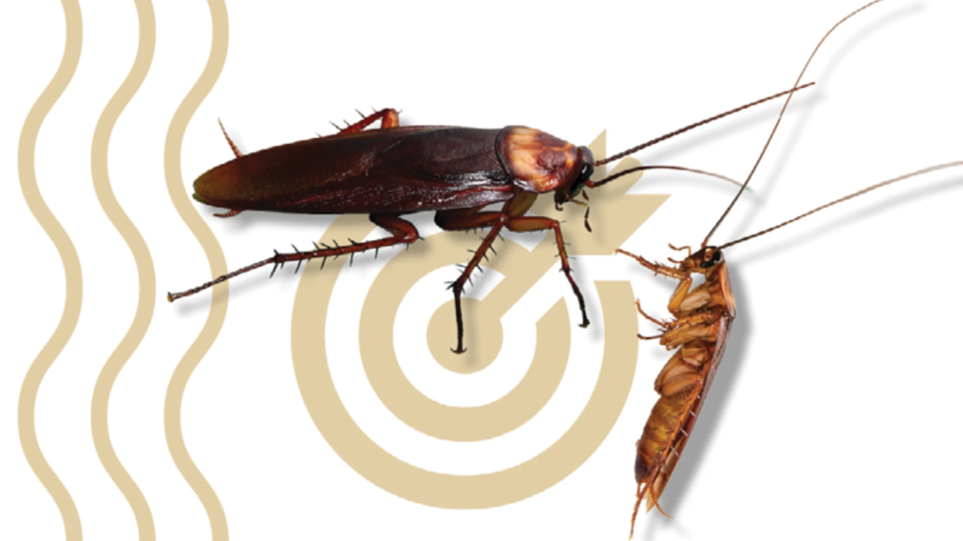 Not Mission Impossible