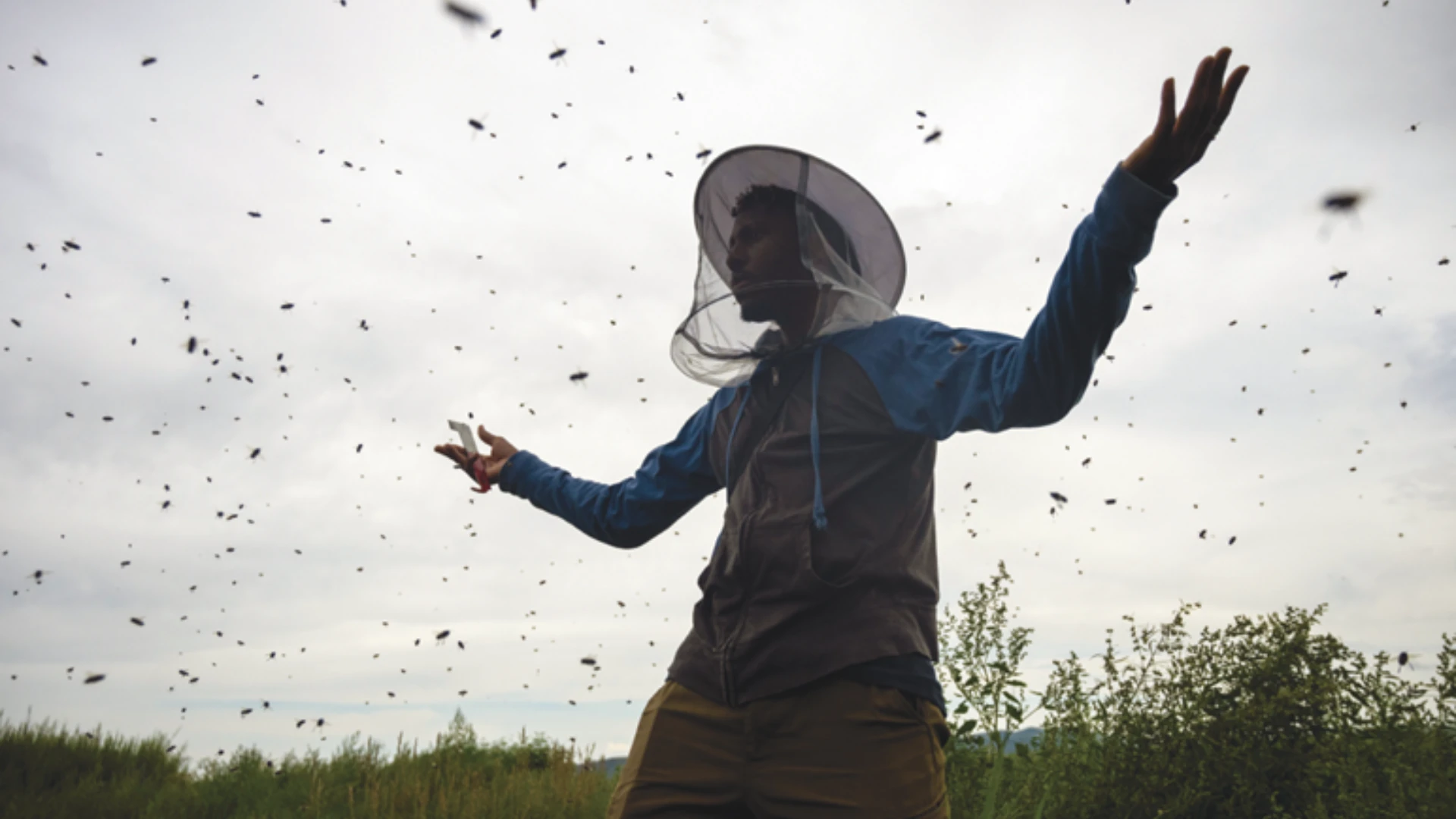 Dr. Ramsey’s Beeline to Advance Pest Research