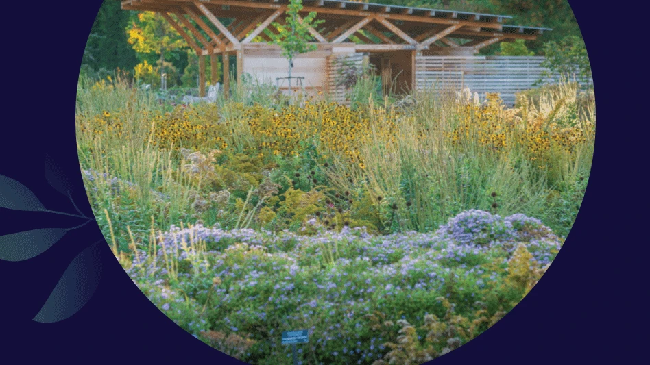 A native garden