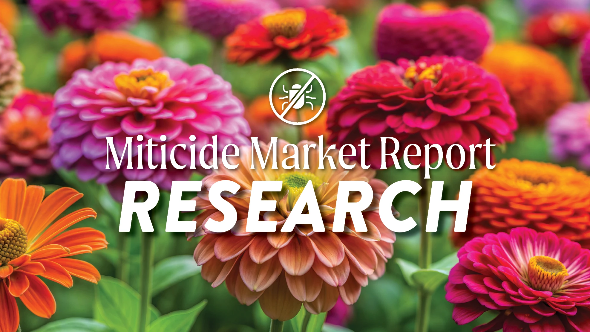 A photo of pink, orange and red flowers, with white text overlaid that reads Miticide Market Report Research.