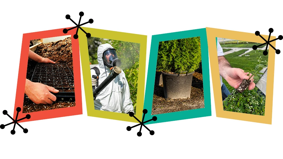 Four images of hand in dirt, a man in a white chemical suit, a shrub growing inside a container and a hand holding a tree cutting.
