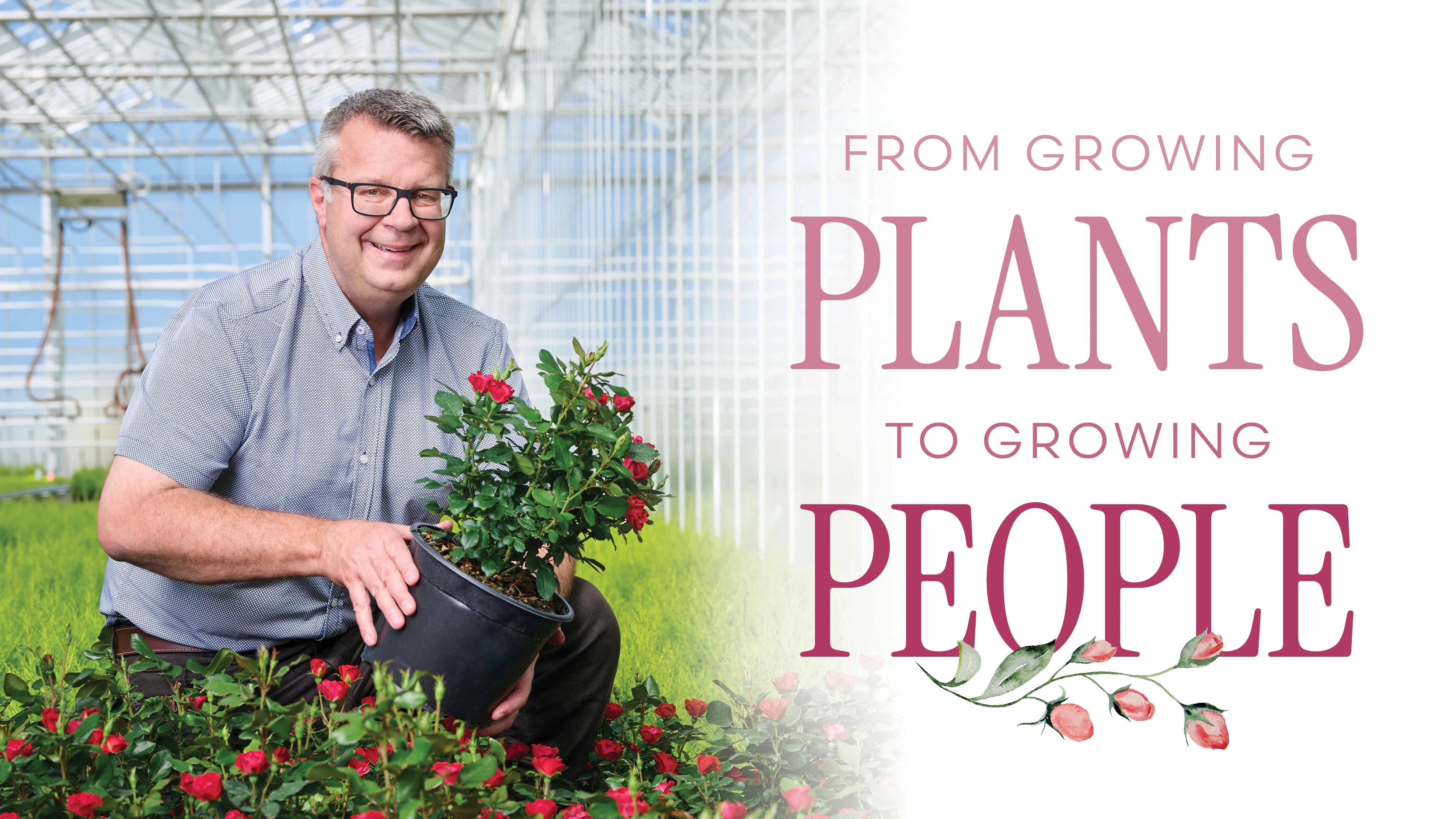 A man crouched down in a greenhouse, holding a flowering shrub.