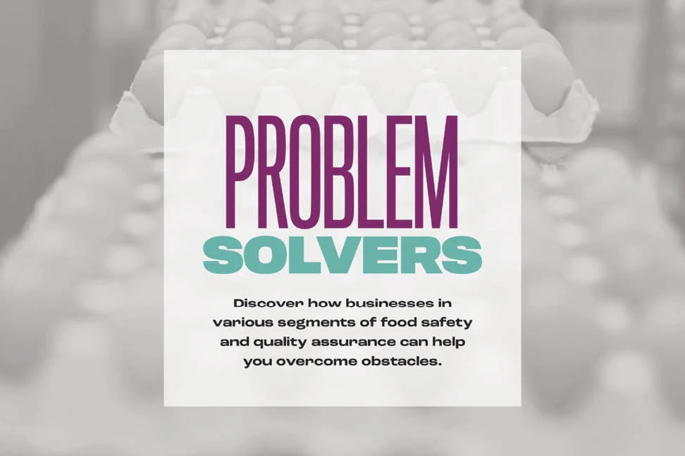 problem solvers