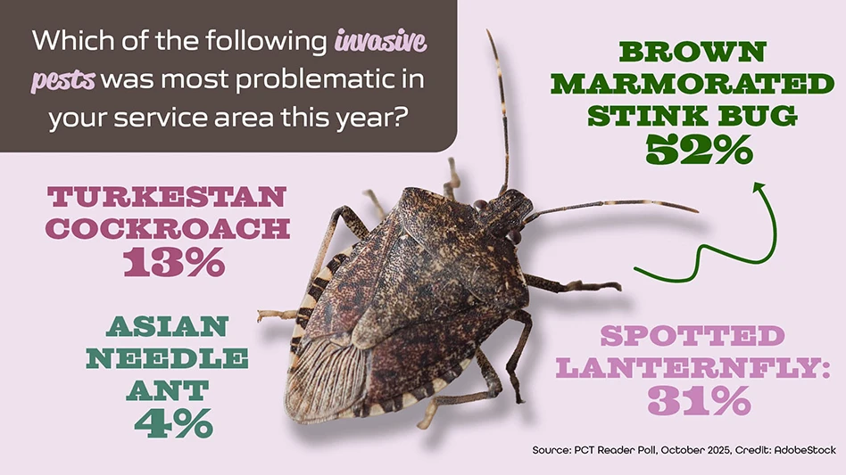 Spotted Lanternflies, BMSBs Most Problematic Invasive Pests, Poll Finds