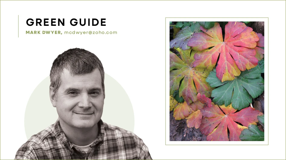 Black and white headshot of Mark Dwyer; to his right is a photo of a geranium.