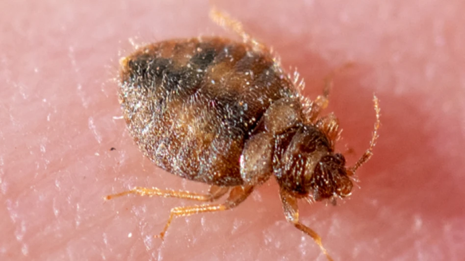 The Year’s Most Unusual Pests