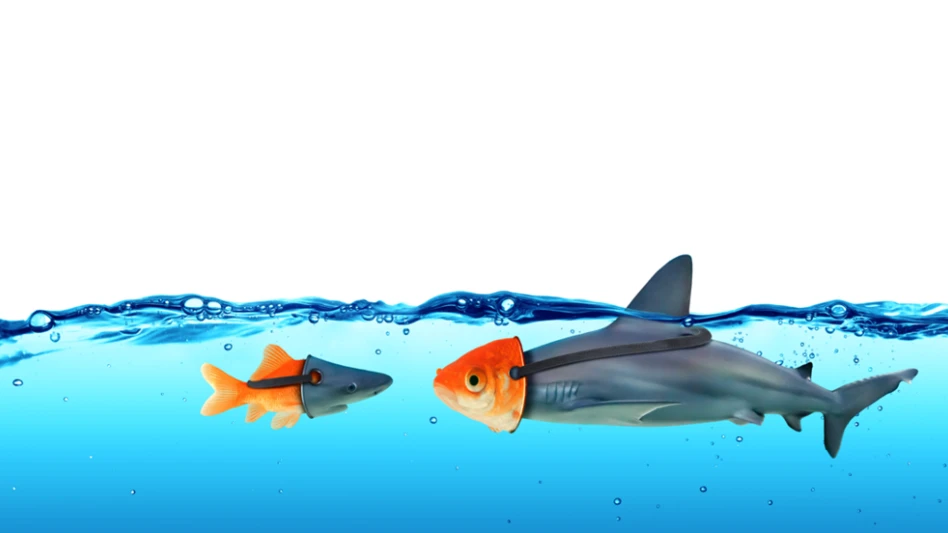 Something Fishy: How to Protect Your Pest Control Business From Fraud