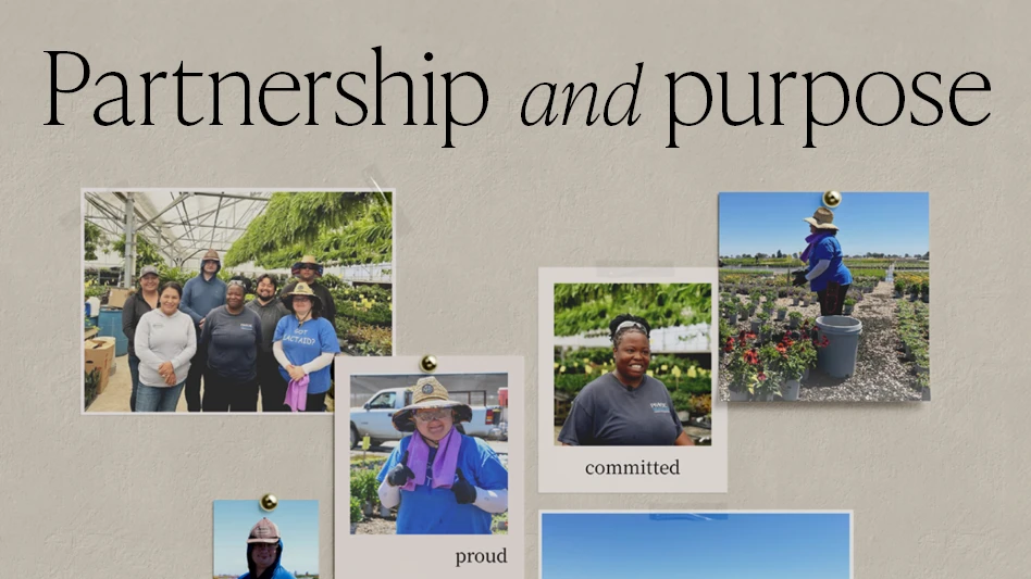 A photo collage with "partnership and purpose" at the top