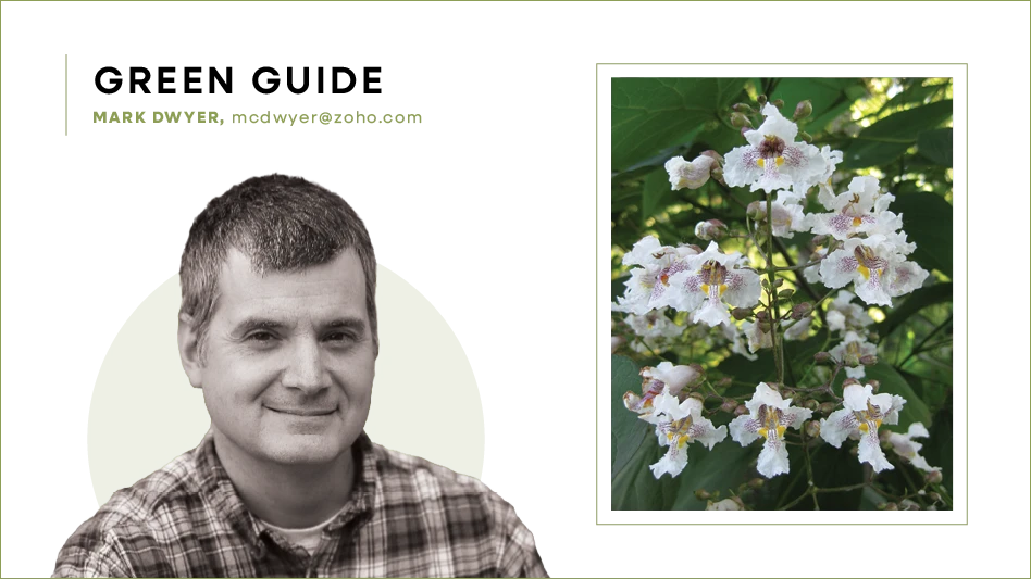 Black and white headshot of a man wearing a plaid shirt. To the right is a plant with white flowers.
