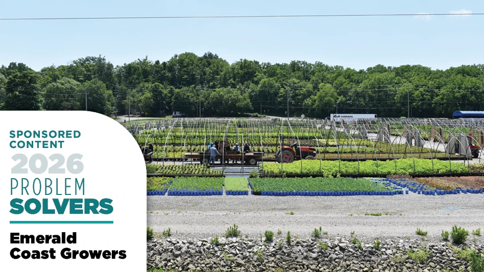 wholesale nursery