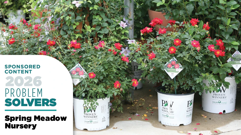 proven winners roses