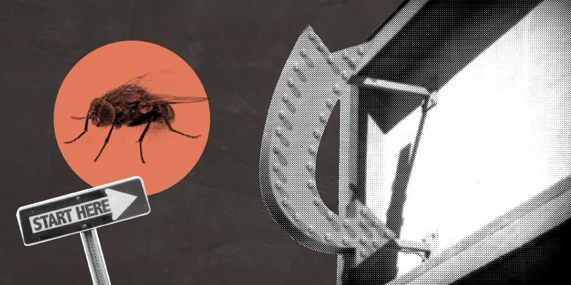 Smarter pest control starts here.