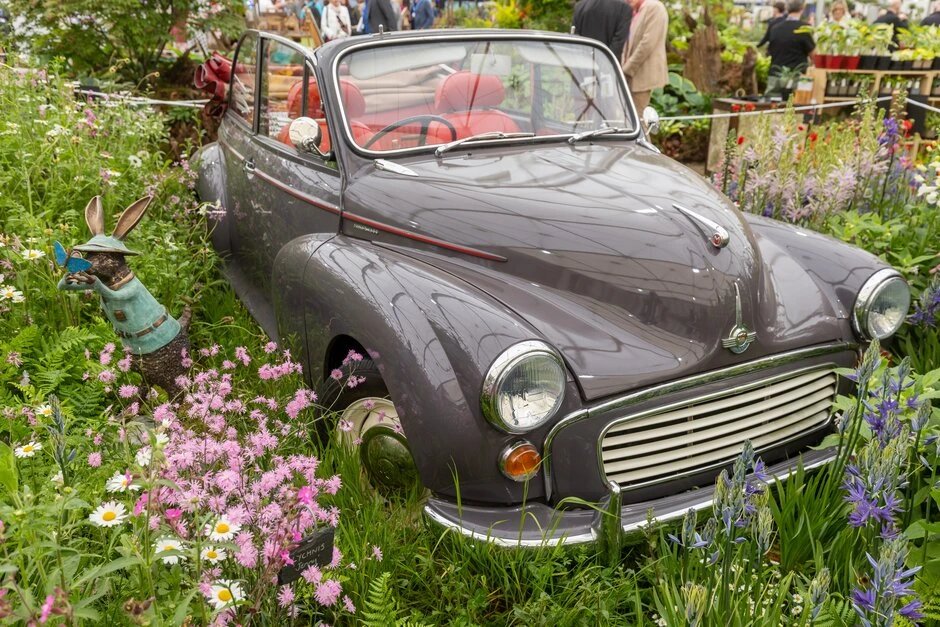 A classic car in a garden with pink flowers and a rabbit statue.