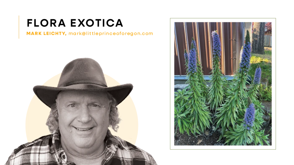 Headshot of a man wearing a hat; photo of a plant