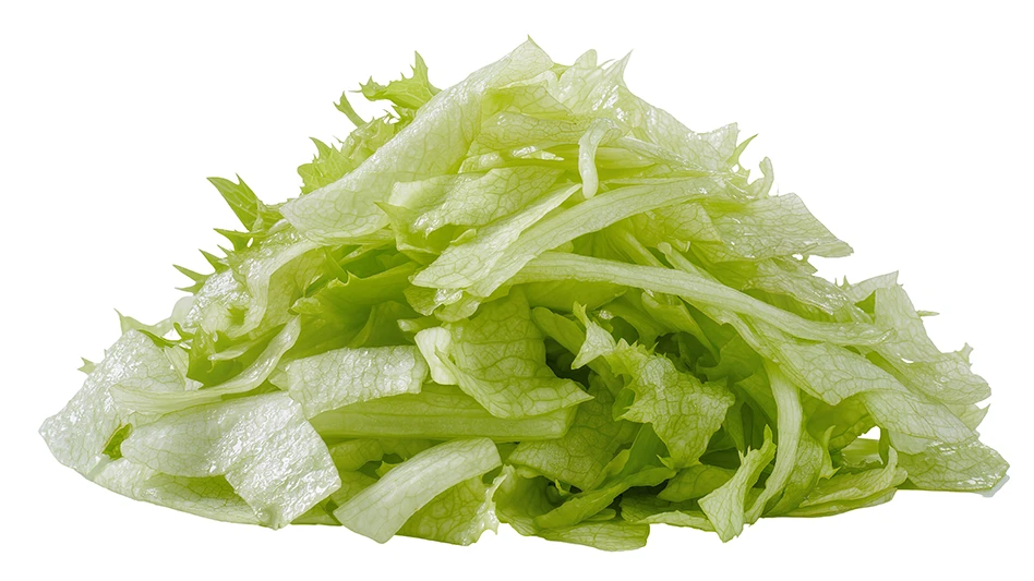 shredded iceberg lettuce