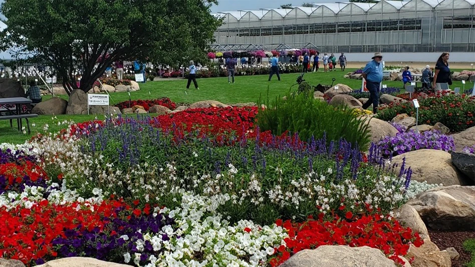 People walk through a trial garden full of red, white and purple flowers, with greenhouses visible in the background.