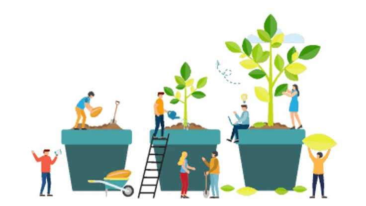 Plant pot images