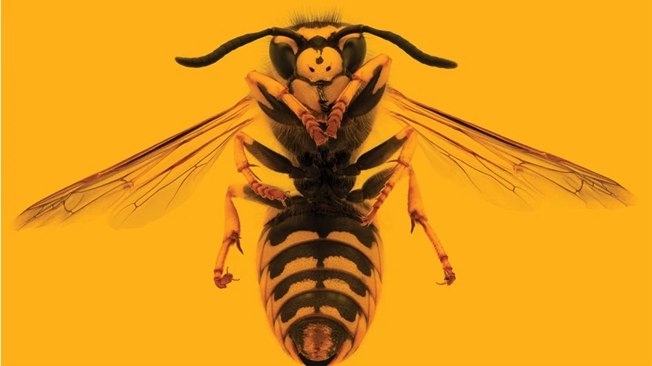 © efilippou | AdobeStock